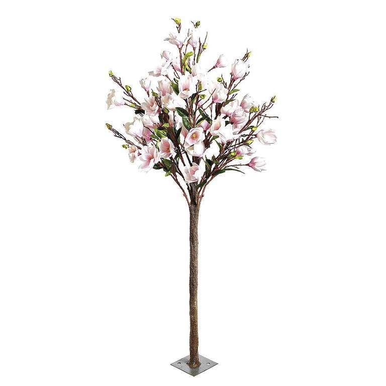 Magnolien-Baumm rosa 180cm
