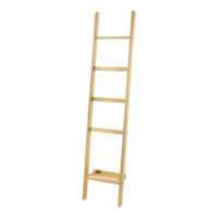 Ladder presenter,