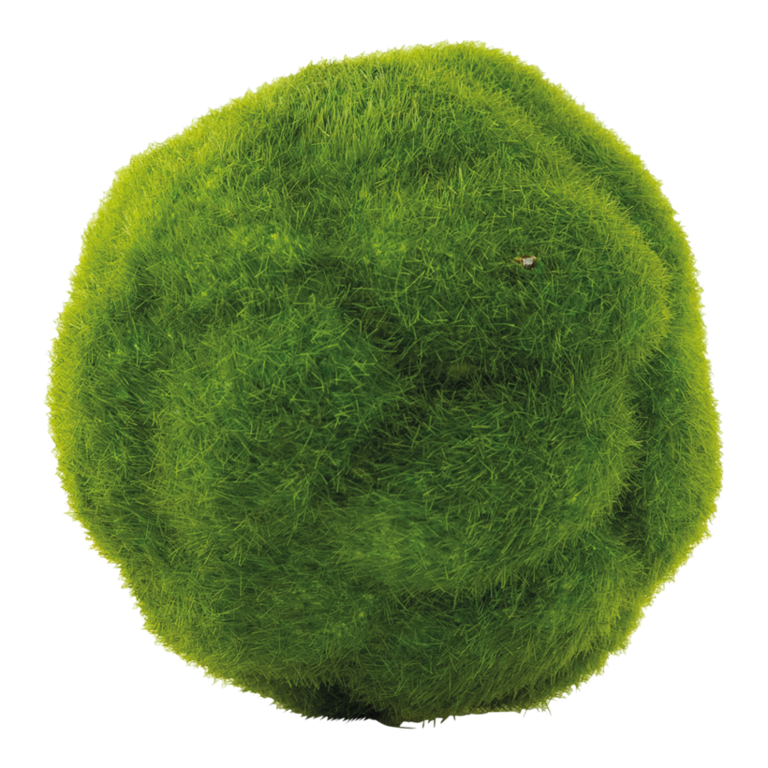 Moss balls