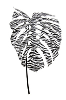 Philoblad "d'luxe" - Black/White