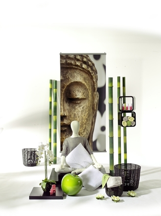 Branche 29 Wellness