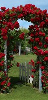 Display Banner Lovely Garden