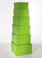 Apple green/orange inside