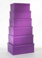 Violet/apple green inside