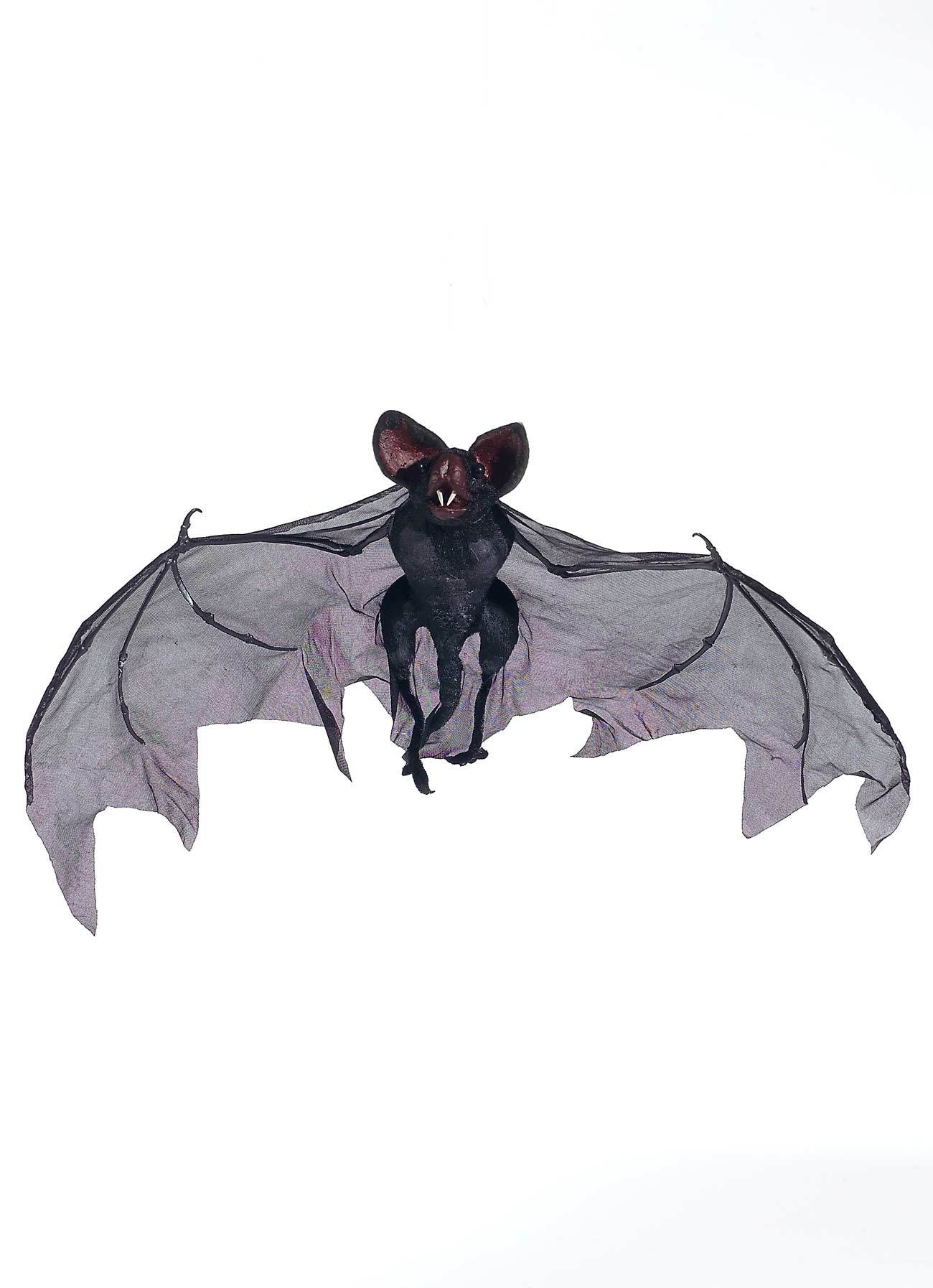 Bat