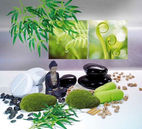 Thema The SPA