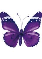 Butterfly mit Clip, PVC, 20x30 cm 