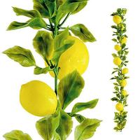 Lemon garland