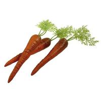 Carrot with leaves