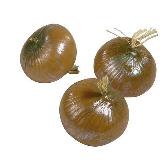 Onions