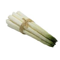 Bunch of asparagus