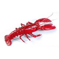 Lobster, large
