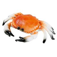 Deep-sea crab
