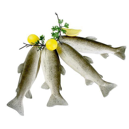 Bunch of Trout
