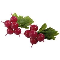 Bunch of radishes