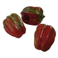 Pepper