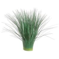 Tuft of Grass