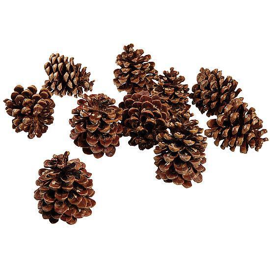 Pinecones