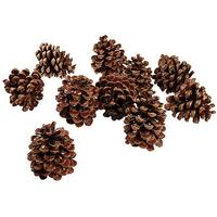 Pinecones