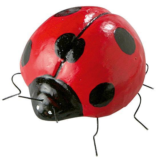 Ladybird