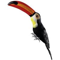 Toucan with Feathers