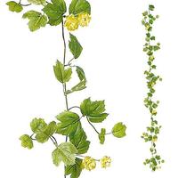 Hops Garland