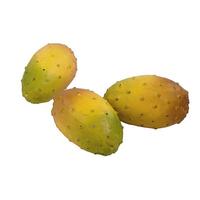 Prickly Pear