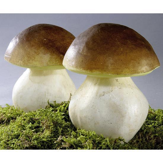 Chestnut mushroom