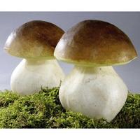Chestnut mushroom