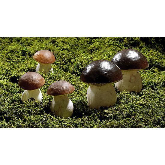 Chestnut mushroom