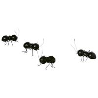 Giant ant