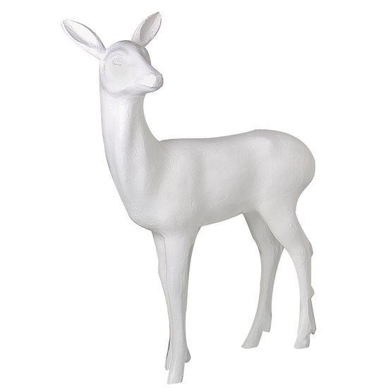 Small deer, standing