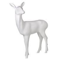 Small deer, standing