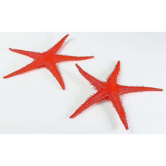 Starfish