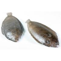 Half a Flounder