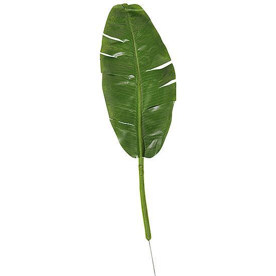 Banana Leaf