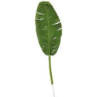 Banana Leaf