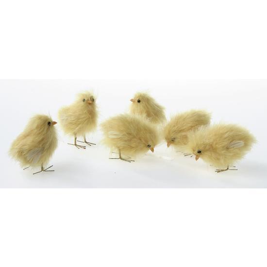 Chick