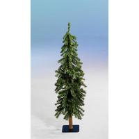 Alpine fir