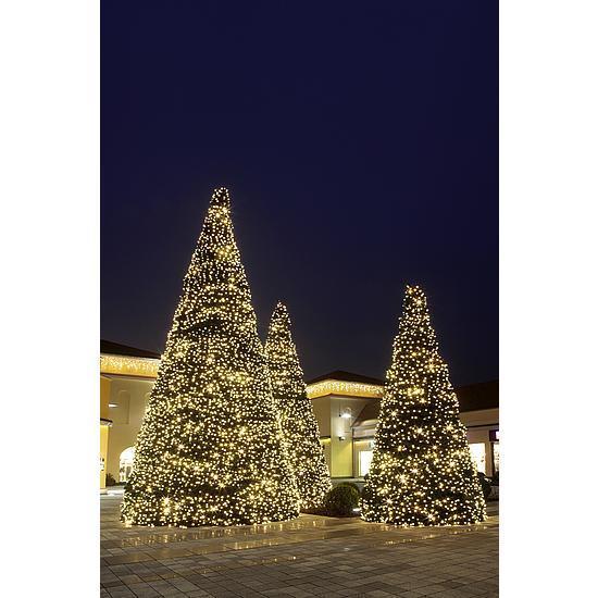 Giant tree
