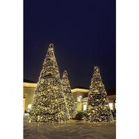 Giant tree