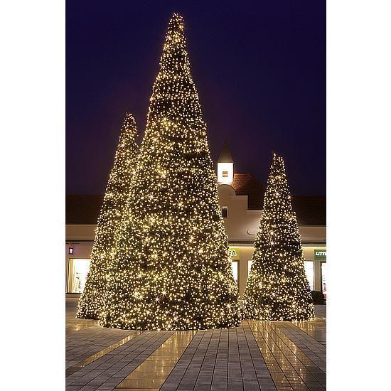 Giant tree