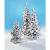 Winter fir
