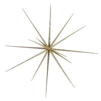 Sputnik star