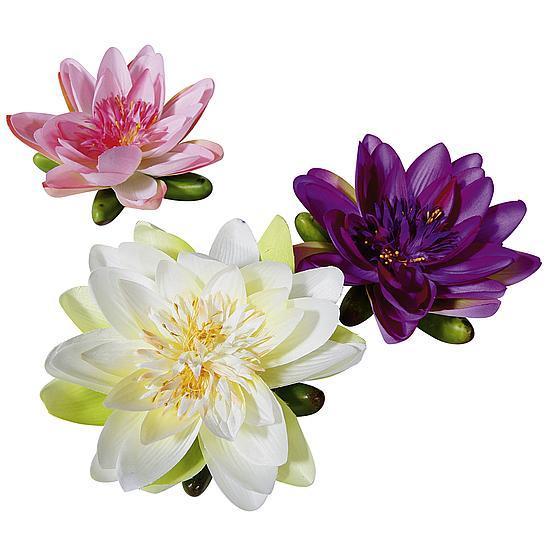 Lotus flowers set