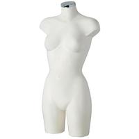 Ladies torso