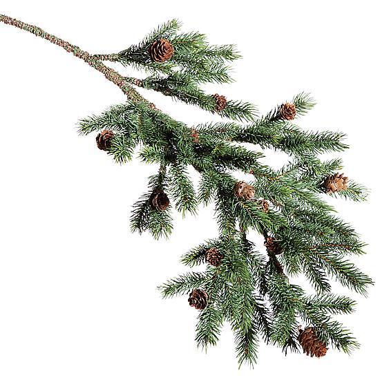 Fir branch with cones
