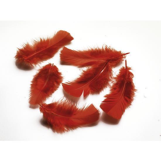 Feathers