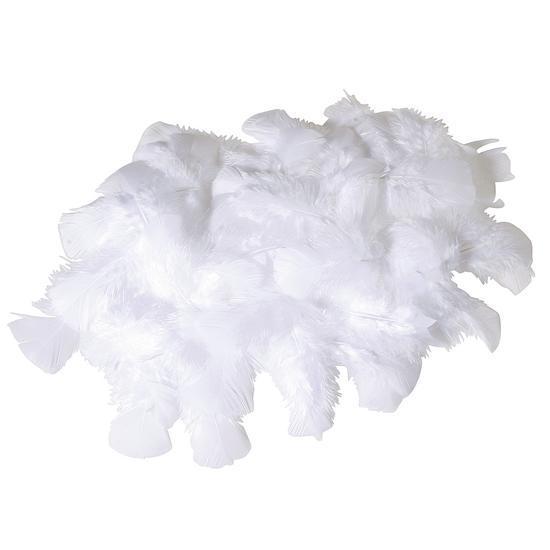 Feathers