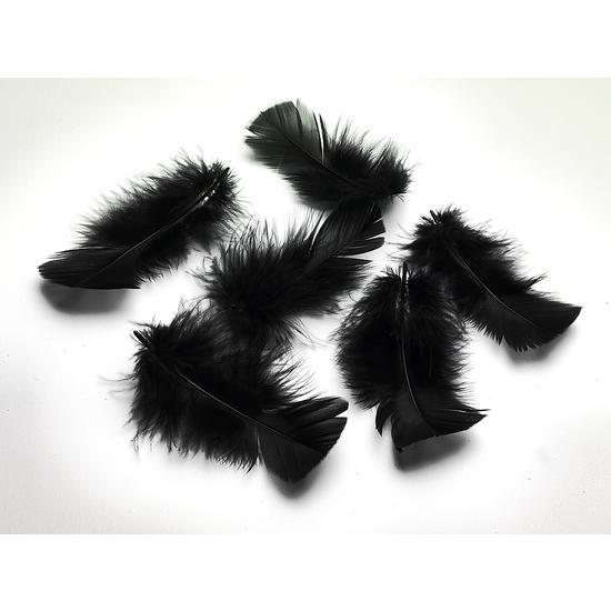 Feathers